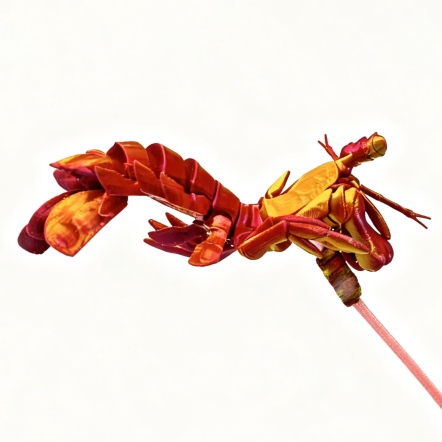 KINNO 海洋生物小潛伴 / 漂浮掛飾［螳螂蝦］