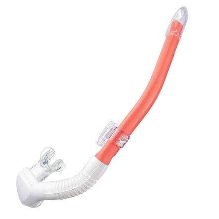 GULL 2025 Leila Stable 呼吸管